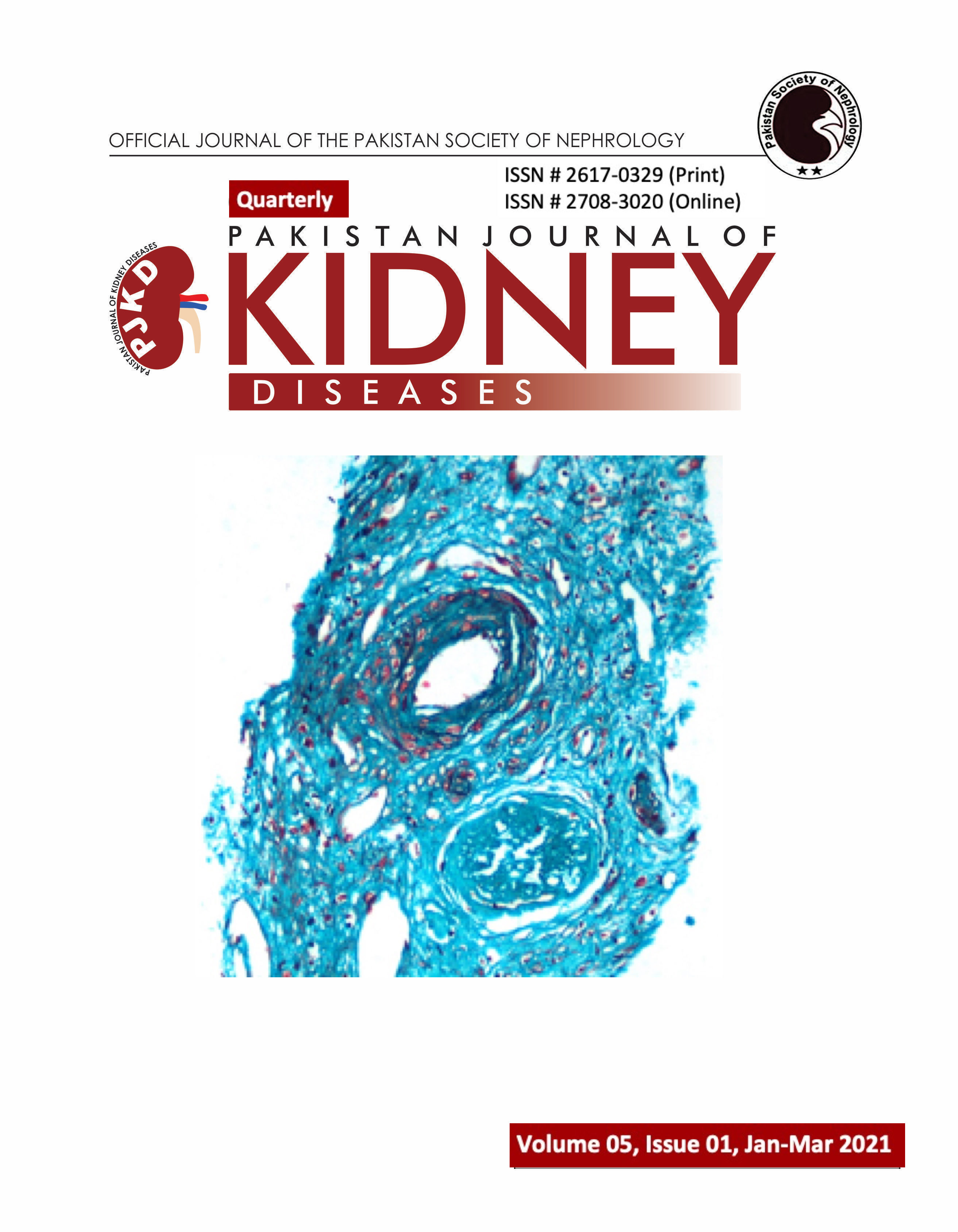 					View Vol. 5 No. 1 (2021): Pakistan Journal of Kidney Diseases
				