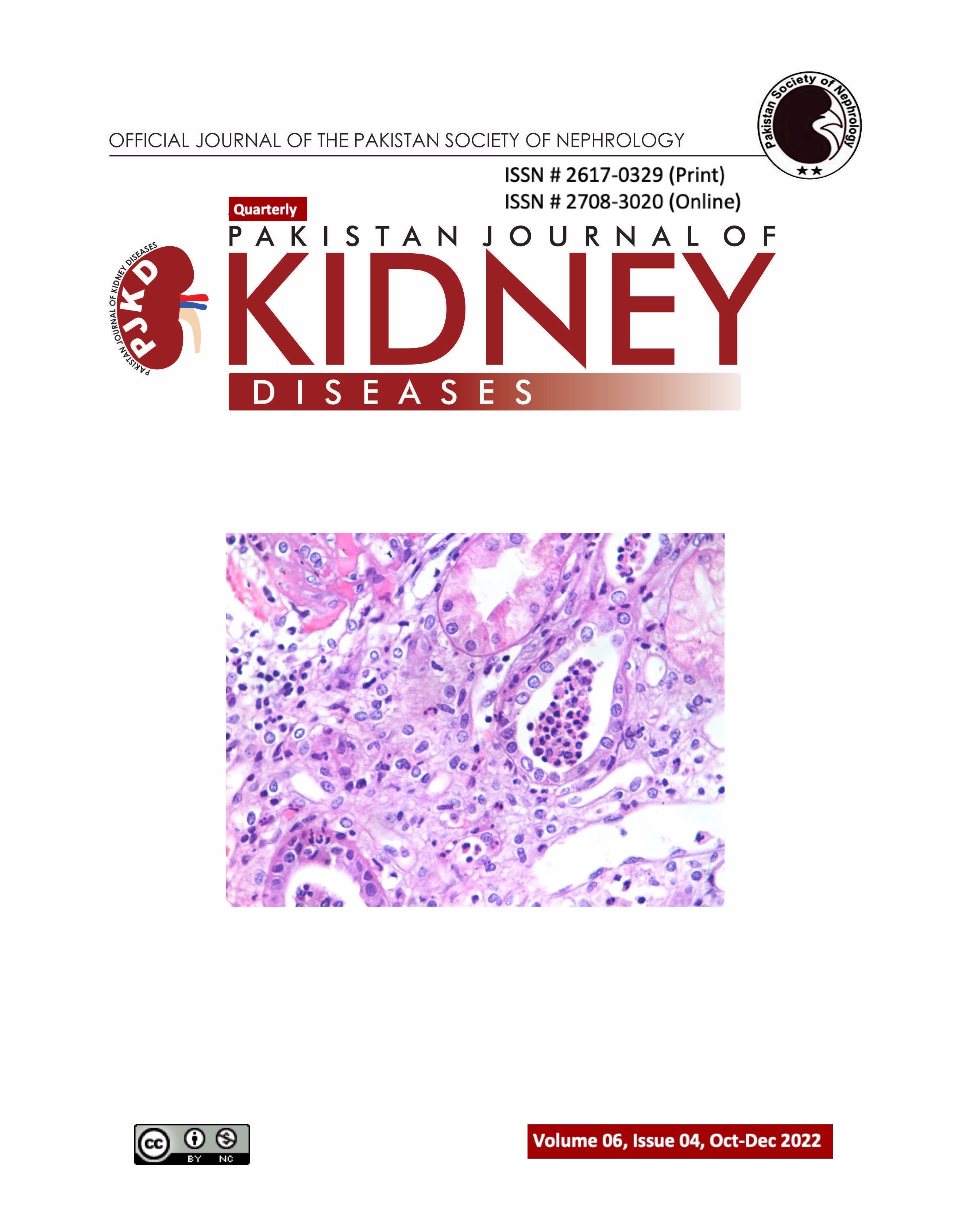 					View Vol. 6 No. 4 (2022): Pakistan Journal of Kidney Diseases
				